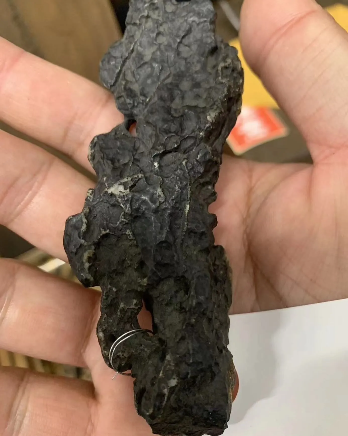 ✨ 無限堂株式会社からの特別なお知らせ ✨